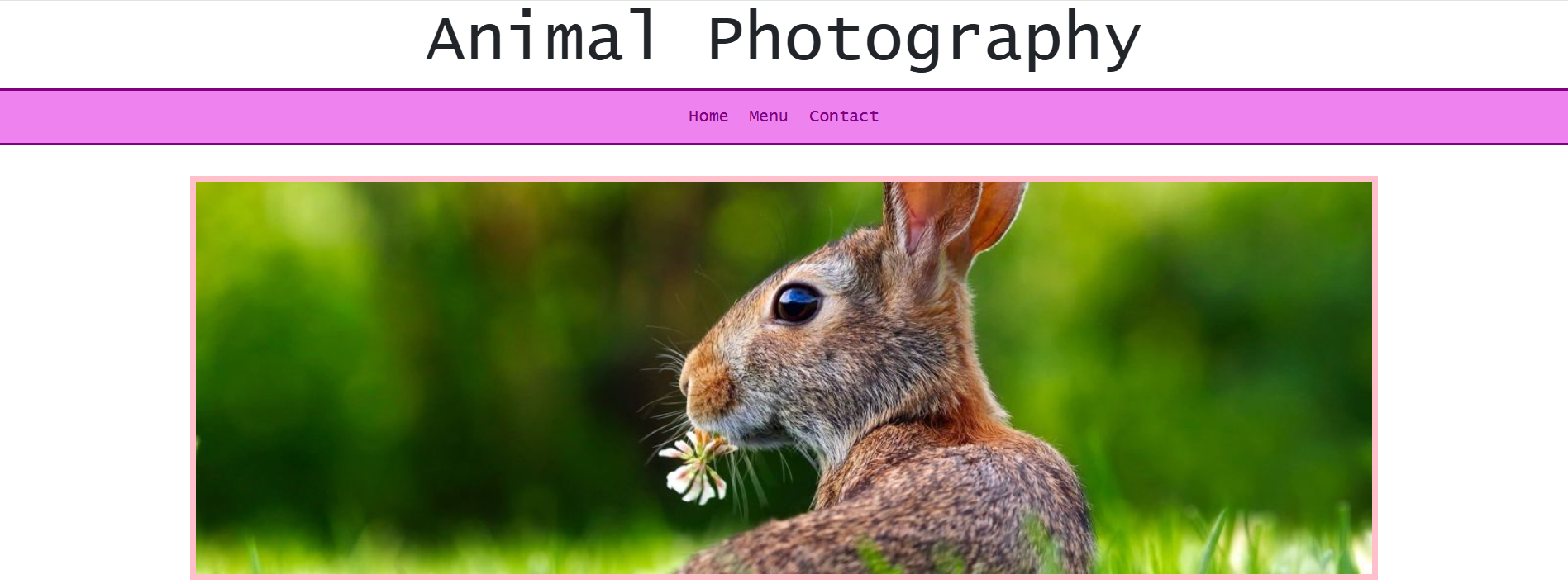 animals screenshot